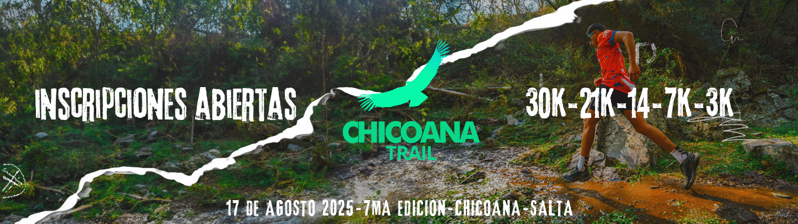 banner chicoana